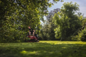 Groenwerk op de Distelheide