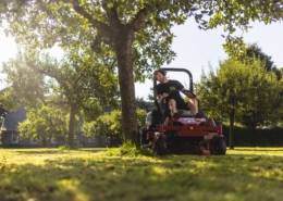 Groenwerk bij het kasteel Slangenburg