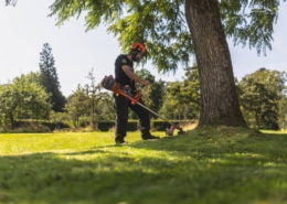 Groenwerk bij het kasteel Slangenburg